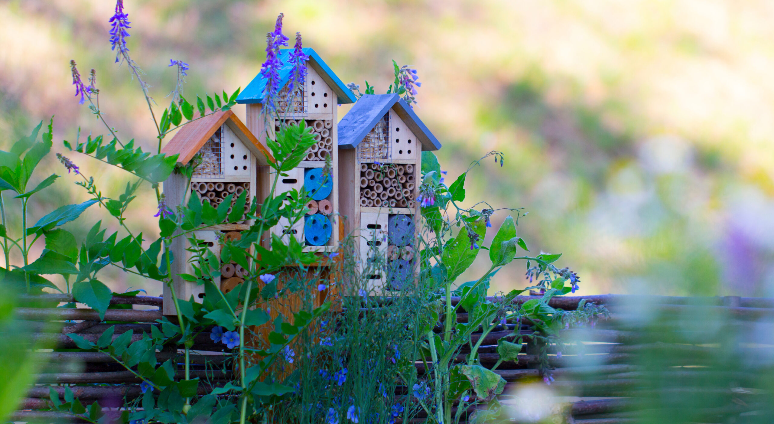 Insektenhotels: Ein Zuhause für nützliche Gartenbewohner