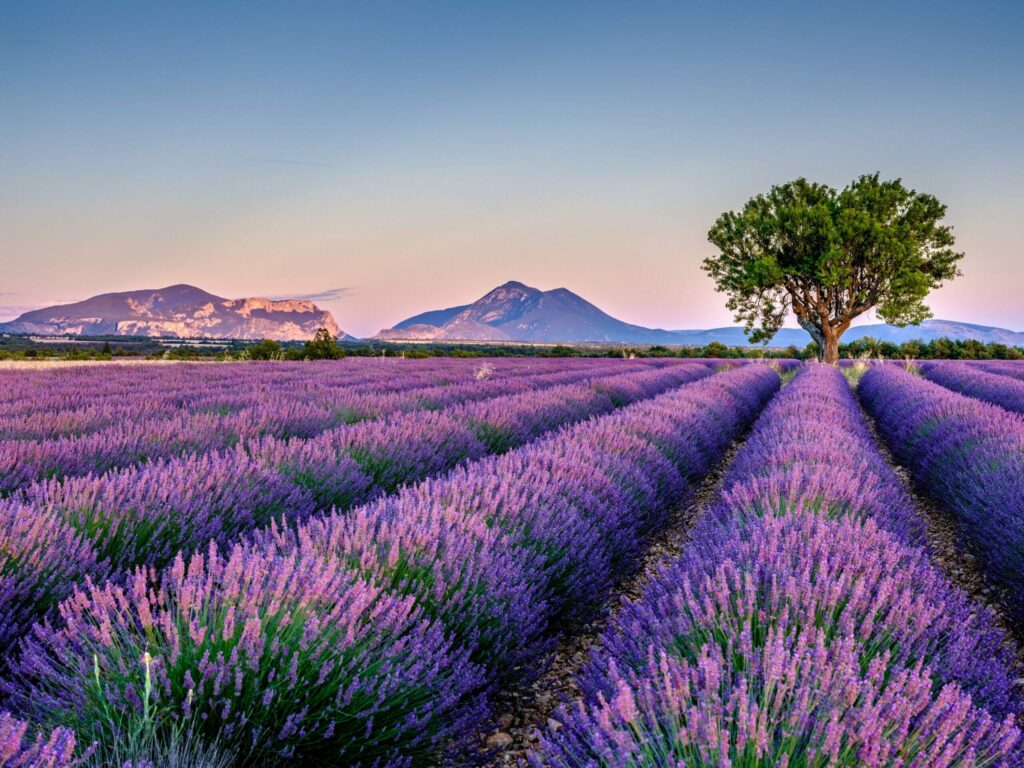 ©fitreisen.de